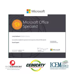Imagen de portada para Curso online Certificación EXCEL ante Microsoft Internacional