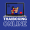 Thai Boxing online 