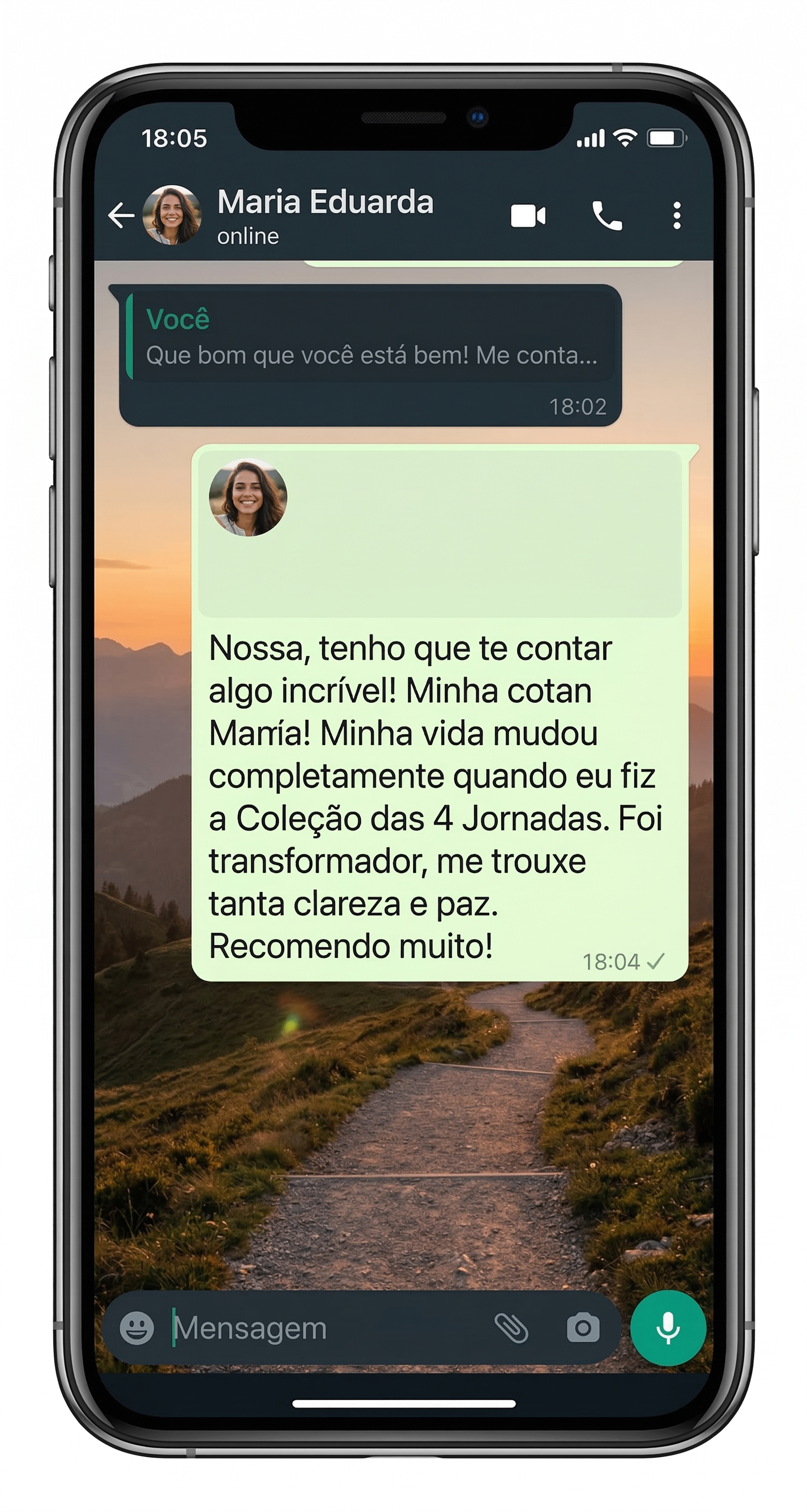Coleção Jornadas Espirituais — 4 Guias de Transformação de 40 Dias Cada — imagem 2