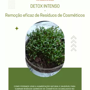 Imagem de capa para o Ebook DETOX DE RESÍDUOS DE COSMÉTICOS