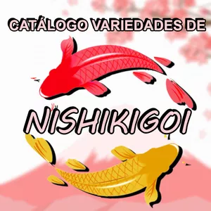 Imagem de capa para o Curso online Catalogo de Variedades de Nishikigoi