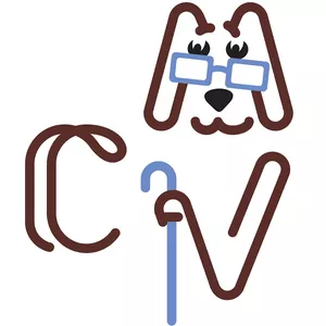 Imagem do curso Curso de Cuidados com Cães Idosos