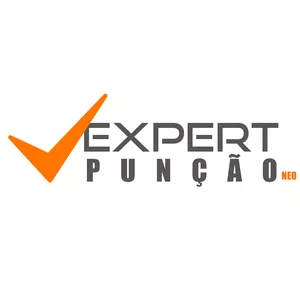 Imagem de capa para o Ebook [EBOOK] PUNÇÃO VENOSA PERIFÉRICA NEONATAL