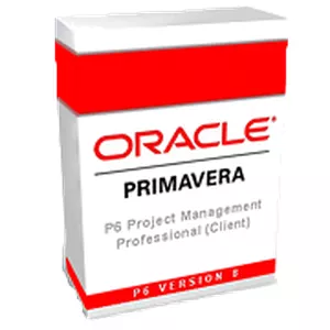 Imagem de capa para o Curso online Curso de Primavera P6 Professional