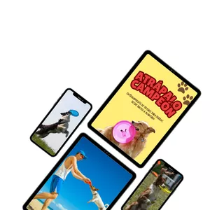 Imagen de portada para Ebook  Atrápalo, Campeón — Entrenamiento de frisbee para perros desde básico a avanzado