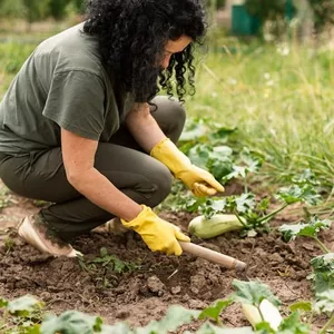 Imagem de capa para o Ebook Guia pratico de horta orgânica negocio lucrativo