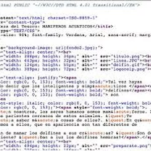 Imagen de portada para Curso online Código fuente para tu sitio web 