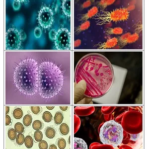 Imagem do curso Microbiologia básica