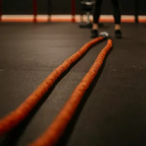 Imagem do curso Melhore sua Condição Física com Acompanhamento Diário por Vídeo