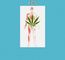 The Endocannabinoid School for Self Healing