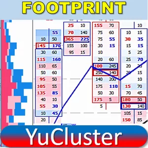 Curso Curso Footprint com YuCluster