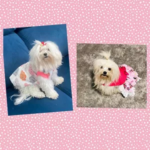 Imagem de capa para o Curso online CURSO   BÁSICO  ROUPINHAS PARA PTES 