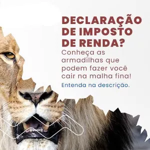 Imagem de capa para o Curso online Não caia na malha fina ,declare seu imposto de renda 