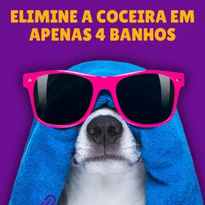 Imagem de capa para o Ebook XÔ COCEIRA 