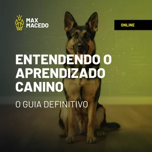 Imagem de capa para o Curso online 01 - Entendendo o Aprendizado Canino: O Guia Definitivo!