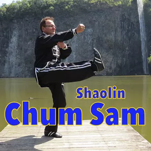 Imagem principal do produto Curso Kung Fu e Defesa Pessoal | 4º kati - CHUM SAM - "Fura Coração"