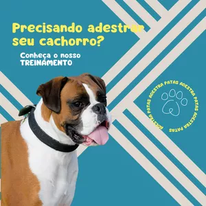 Imagem de capa para o Ebook Adestra Patas - Xixi e Cocô no local correto