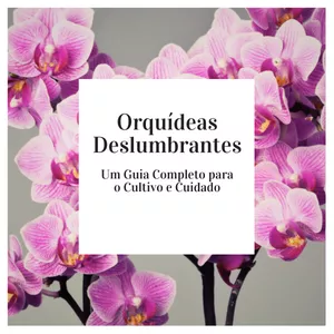 Imagem de capa para o Ebook Orquídeas Deslumbrantes: Um Guia Completo para o Cultivo e Cuidado