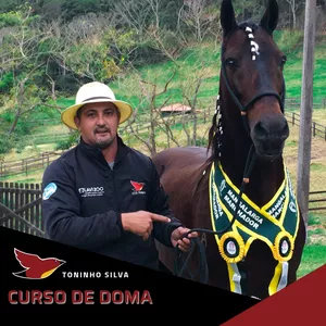 Imagem do curso Curso Iniciação dos Comandos Básicos & Doma - Toninho Silva