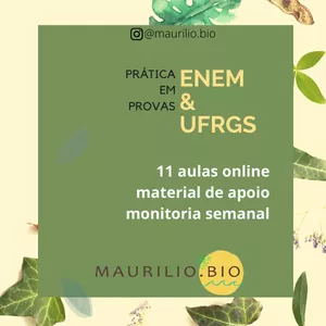 Imagem de capa para o Curso online Prática em provas ENEM e UFRGS com Prof. Maurilio
