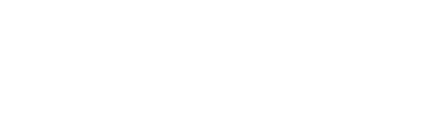 NGO & SONS logo