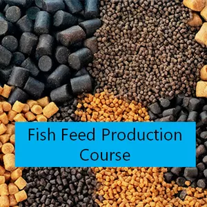 Cover image for Online course Producing fish feed: A Guide in Best Manufacturing Practices