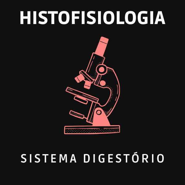 Imagem do curso Histofisiologia do Sistema Digestório