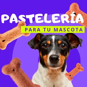 Imagen de portada para Curso online Pastelería Canina 🐕🎂