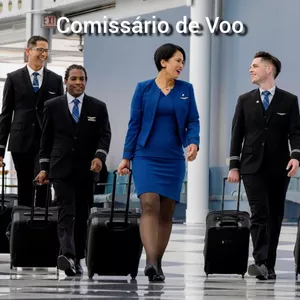 Imagem do curso Comissário de Voo - ANAC - Companhias Aéreas