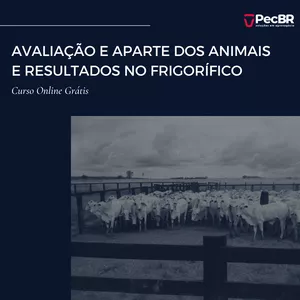 Imagem de capa para o Curso online AVALIAÇÃO E APARTE DOS ANIMAIS E RESULTADOS NO FRIGORÍFICO