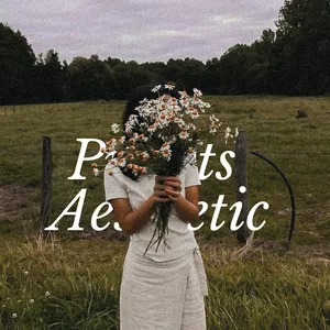 Imagem de capa para o Ebook Presets Aesthetic