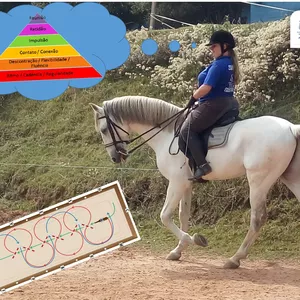 Imagem de Como trabalhar meu cavalo? - Trabalho de Plano  criado por Academia e Escola de Equitação Troá na hotmart