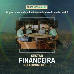 Imagem de capa para o Curso online Gestão Financeira no Agronegócio