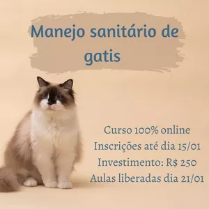 Capa do curso 
