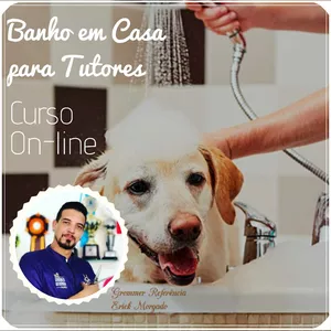Imagem de capa para o Curso online Banho em Pet - Faça você mesmo