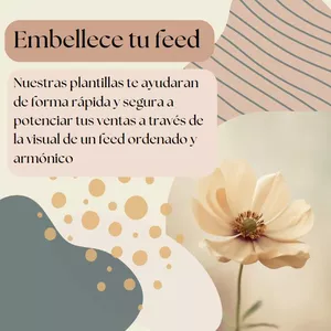 Imagen de portada para Ebook Plantillas para post de Instagram