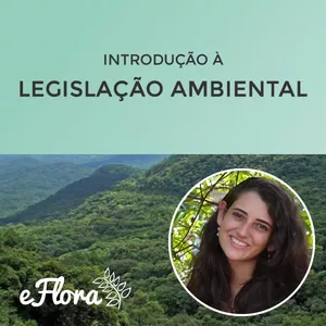 Imagem do curso Introdução à Legislação Ambiental