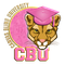 Canvas Bling University