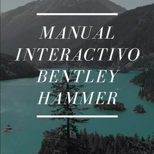 Imagen de portada para Ebook Manual Interactivo Bentley Hammer