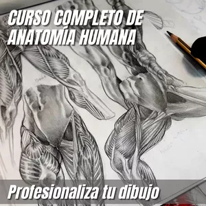 Imagen de portada para Curso online Anatomía Humana para artistas