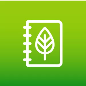 Imagem de capa para o Curso online Design Sustentável e produtos circulares