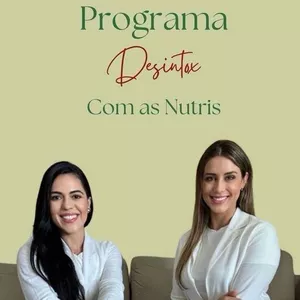 Imagem de capa para o Ebook DESINTOX 