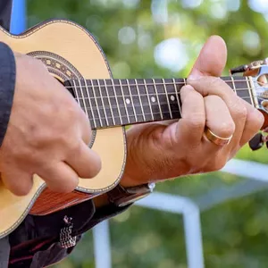 Imagem de capa para o Curso online Dicas de Cavaquinho e mais de 700 Músicas SIMPLIFICADAS