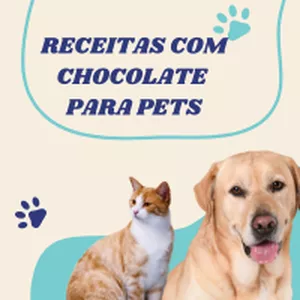 Receitas Com Chocolate Para PETs (0vos)