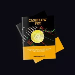 Imagen de portada para Ebook CASHFLOW PRO