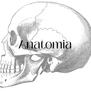 Imagem de capa para o Ebook Anotações de Anatomia