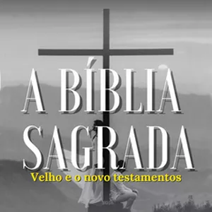 Imagem de capa para o Ebook A Bíblia Sagrada Digital
