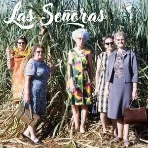 Imagen de portada para Curso online LAS SEÑORAS