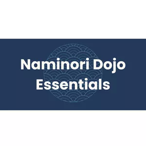 Imagen de portada para Curso online Naminori Mastery Ninja