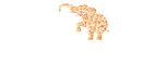 Shake Your Shakti